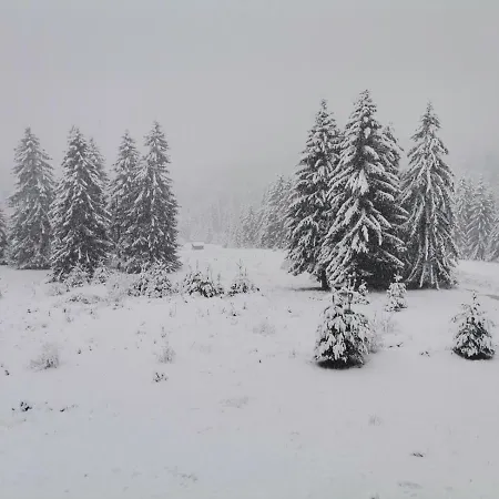 Forest 524 Lejlighed *