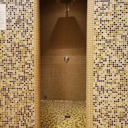 Forest 524 * 斯莫梁