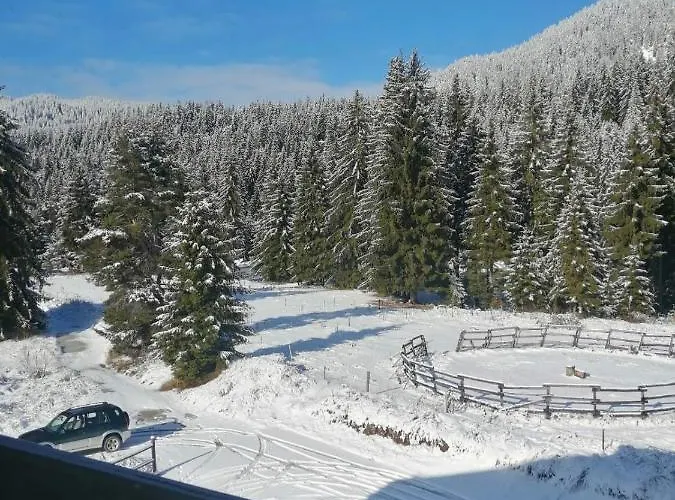 Appartamento Forest 524 *