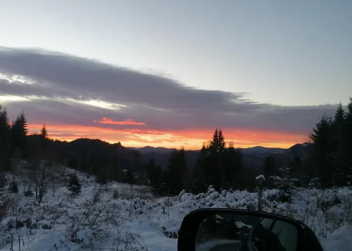 Forest 524 Appartamento